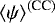 $\left<\psi\right>^{(\textrm{CC})}$