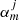 $ \alpha_{m}^{j} $