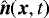 $\hat{\vec{n}}(\vec{x},t)$