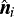 $\hat{\vec{n}}_i$