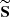 $ \widetilde{\mathbf{S}} $