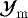$\mathcal{Y}_{\mathrm{m}}$