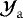 $\mathcal{Y}_{\mathrm{a}}$