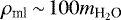 $\rho_{\textrm{ml}}\,{\sim}\,100 m_{\textrm{H}_2\textrm{O}}$