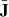 $ {\bar{\mathbf{J}}} $