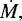 $ \dot{M,}$