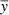 $ \overline{\mathit{y}} $