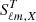 $ S^T_{\ell m,X} $