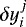 $\delta y_i^j$