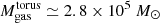 $ M^{\mathrm{torus}}_{\mathrm{gas}}\simeq2.8\times10^5~M_{{\odot}} $