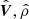 $ \hat{\boldsymbol{V}}, \hat{\rho} $