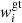 $ w_{i}^{\mathrm{gt}} $