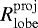 $R^{\mathrm{proj}}_{\mathrm{lobe}}$