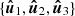 $ \{\boldsymbol{\hat{u}}_1,\boldsymbol{\hat{u}}_2,\boldsymbol{\hat{u}}_3\} $