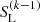 $ S_{\mathrm{L}}^{(k-1)} $