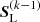 $ {{\boldsymbol{S}}}_{\mathrm{L}}^{(k-1)} $