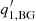 $ q^\prime_{1,{\rm BG}} $