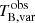 $ T_{\mathrm{B,var}}^{\mathrm{obs}} $