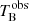 $ T_{\mathrm{B}}^{\mathrm{obs}} $