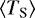$\left<T_{\textrm{S}}\right>$