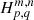 $ H^{m,n}_{p,q} $