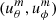 $ (u^m_\theta,u^m_\phi) $