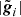 $ |\tilde{\boldsymbol{g}}_i| $