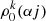 $ \rho_0^k (\alpha j) $
