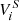 $ V^S_i $