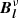 $ {\boldsymbol{B}}_{\boldsymbol{l}}^{\nu} $