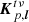 $ {{\boldsymbol{K}}_{p,{\boldsymbol{l}}}^{t\nu}} $