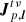 $ {{\boldsymbol{J}}^{t\nu}_{p,{\boldsymbol{l}}}} $