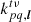 $ {k_{pq,{\boldsymbol{l}}}^{t\nu}} $