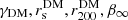 $ {\gamma_{\mathrm{DM}}}, {r_{\mathrm{s}}^{\mathrm{DM}}}, {r_{200}^{\mathrm{DM}}}, {\beta_\infty} $