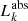 $ L^{\mathrm{abs}}_{k} $