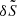 $ \delta\tilde{S} $
