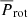 $ \overline{P}_{\mathrm{rot}} $