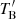 $ T^\prime_{\mathrm{B}} $