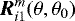 ${\vec R}_{i1}^m(\theta,\theta_0)$