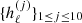 $ \{h^{(j)}_\ell\}_{1\leq j \leq 10} $