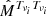 $ \hat{{M}}^{T_{\nu_i}T_{\nu_i}} $