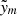 $ \tilde{\mathit{y}}_m $