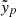 $ \tilde{\mathit{y}}_p $