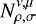 $N_{\rho,\sigma}^{\nu,\mu}$