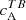$ c_{\mathrm{A}}^{TB} $