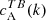 $ c_{\mathrm{A}}^{TB} (k) $