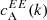 $ c_{\mathrm{A}}^{EE} (k) $