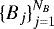$\{B_j\}_{j=1}^{N_B}$