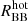 $ R^{\mathrm{hot}}_{\mathrm{BB}} $