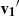 $ {\bf v_1}^\prime $